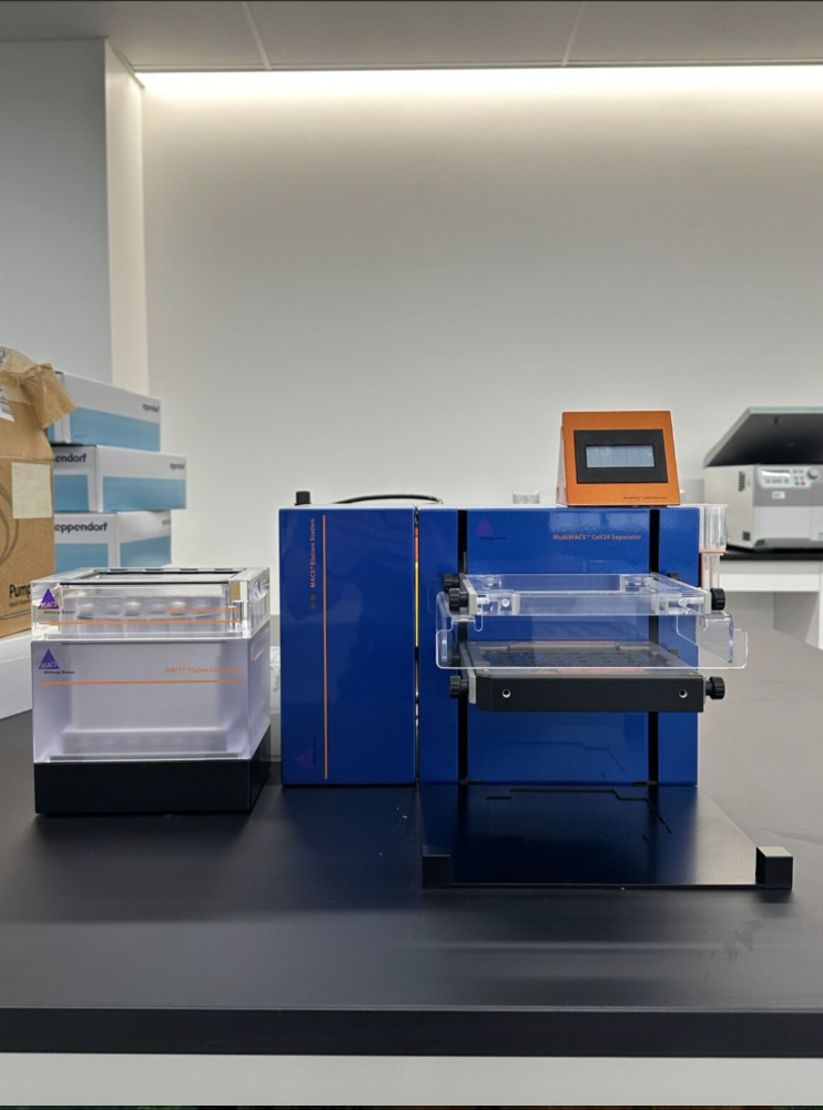 Image of Miltenyi Biotec MultiMACS Cell24 Separator System with Elution Station